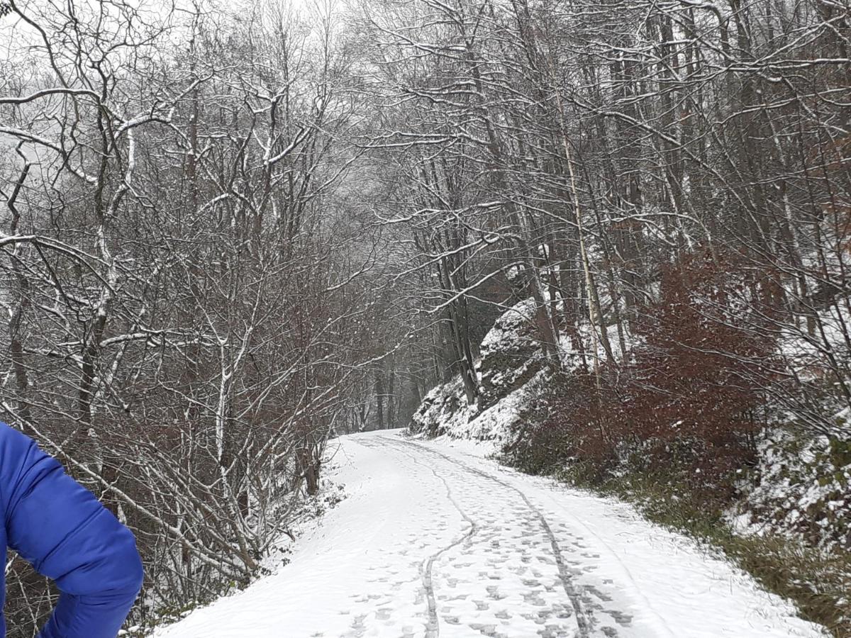 Gite Vallee Et Semoy Tournavaux Dış mekan fotoğraf